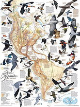Load image into Gallery viewer, Bird Migration - NYPC National Geographic Collection Puzzle 1000 Pieces - Celador Books &amp; Gifts
