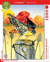 Load image into Gallery viewer, American Kestrel - NYPC Cornell Lab Collection Puzzle 1000 Pieces - Celador Books &amp; Gifts
