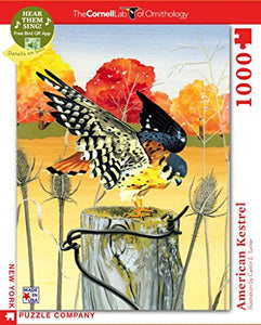 American Kestrel - NYPC Cornell Lab Collection Puzzle 1000 Pieces - Celador Books & Gifts