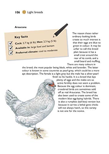 Self-Sufficiency: Hen Keeping: Raising Chickens at Home (IMM Lifestyle Books) Info on Over 50 Breeds of Hen, plus Housing, Food & Water, Daily Care, Disease Prevention, Egg Production, Breeding & More