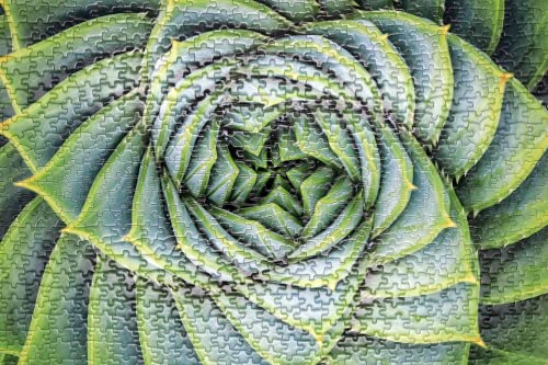 Perfectly Puzzled - 500 and 1000 Piece Jigsaw Puzzles, Enjoy a Range of Puzzles For Adults And Children Aged 7+, Great Gift For a Puzzle Enthusiast
