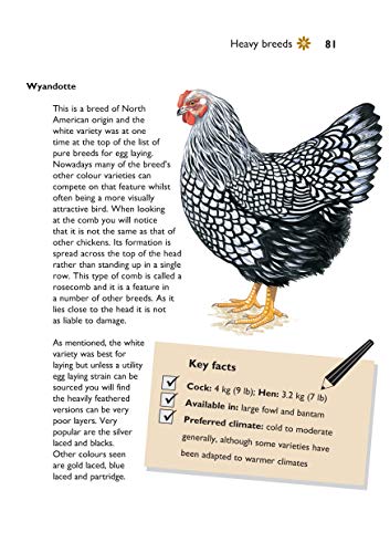 Self-Sufficiency: Hen Keeping: Raising Chickens at Home (IMM Lifestyle Books) Info on Over 50 Breeds of Hen, plus Housing, Food & Water, Daily Care, Disease Prevention, Egg Production, Breeding & More