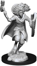 WizKids Changeling Cleric Male D&D Unpainted Miniatures 2-Pack (RHS)