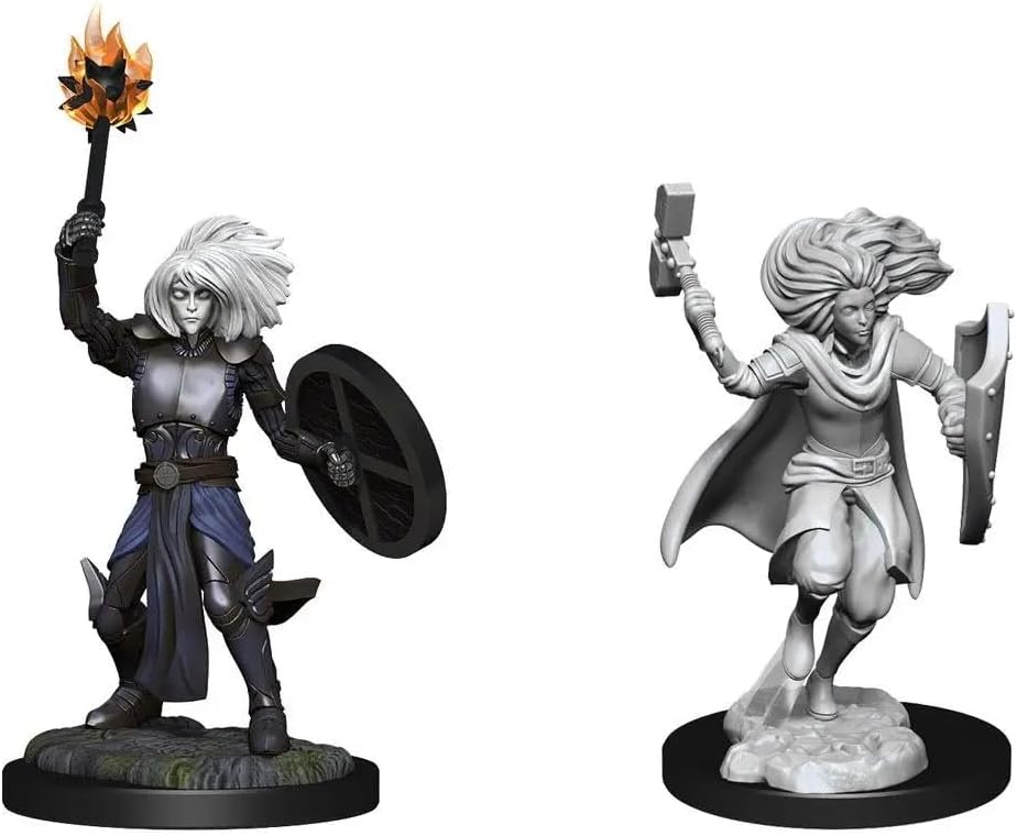 WizKids Changeling Cleric Male D&D Unpainted Miniatures 2-Pack (RHS)