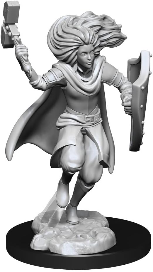 WizKids Changeling Cleric Male D&D Unpainted Miniatures 2-Pack (RHS)