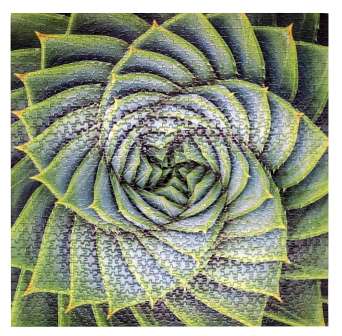 Perfectly Puzzled - 500 and 1000 Piece Jigsaw Puzzles, Enjoy a Range of Puzzles For Adults And Children Aged 7+, Great Gift For a Puzzle Enthusiast