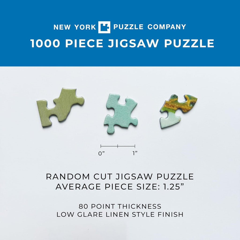 New York Puzzle Company - National Geographic Earth at Night - 1000 Piece Jigsaw Puzzle