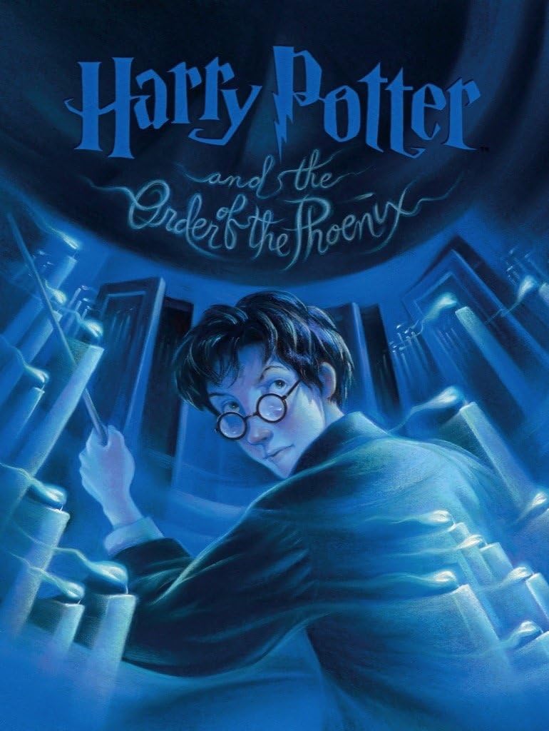 New York Puzzle Company - Harry Potter Order of the Phoenix - 1000 Piece Jigsaw Puzzle