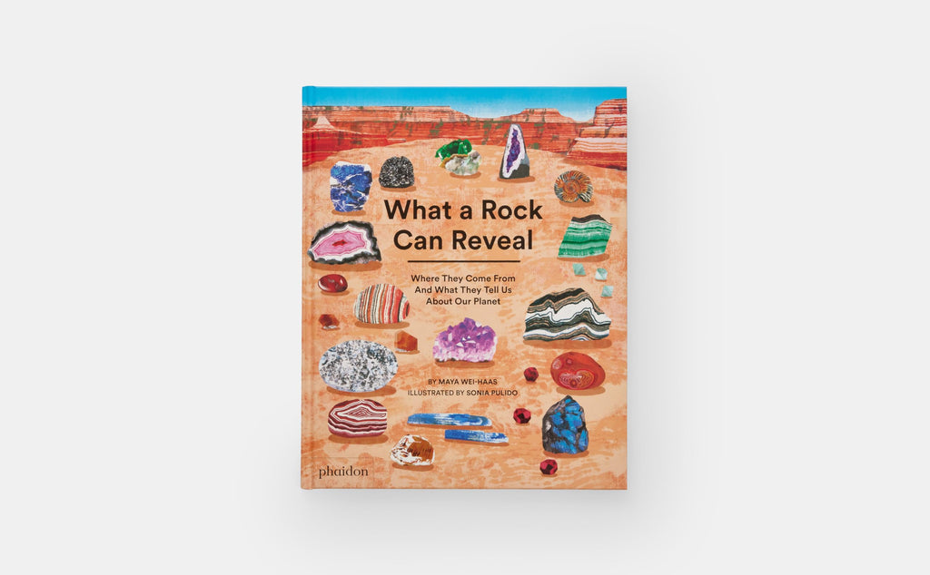 What a Rock Can Reveal: Where They Come From And What They Tell Us About Our Planet