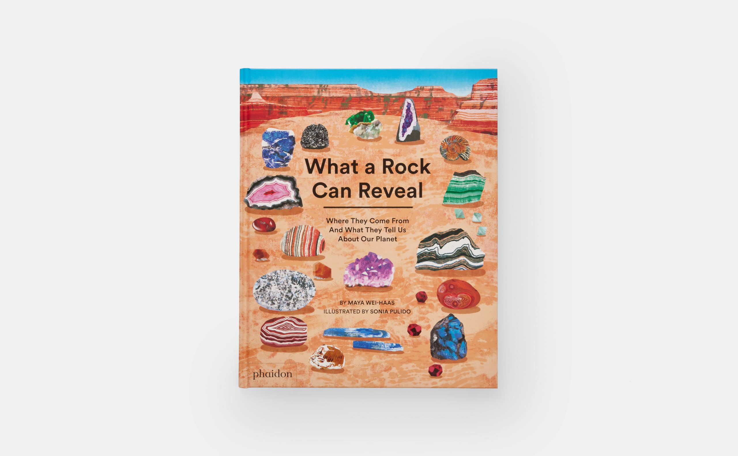 What a Rock Can Reveal: Where They Come From And What They Tell Us About Our Planet