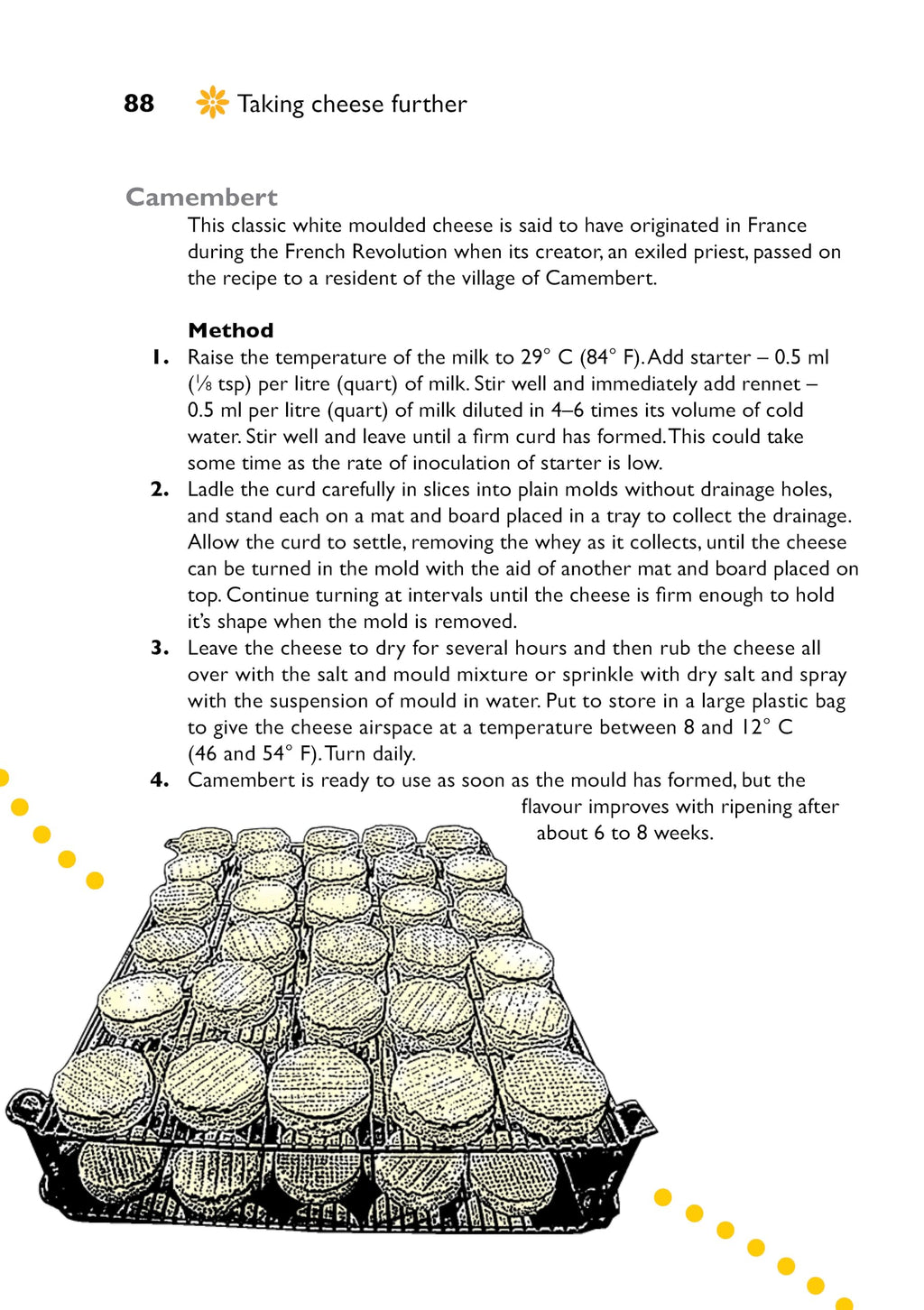 Self-Sufficiency: Cheese Making: Essential Guide for Beginners (IMM Lifestyle Books) Beginner-Friendly Handbook with Recipes, Expert Advice, Troubleshooting, & More