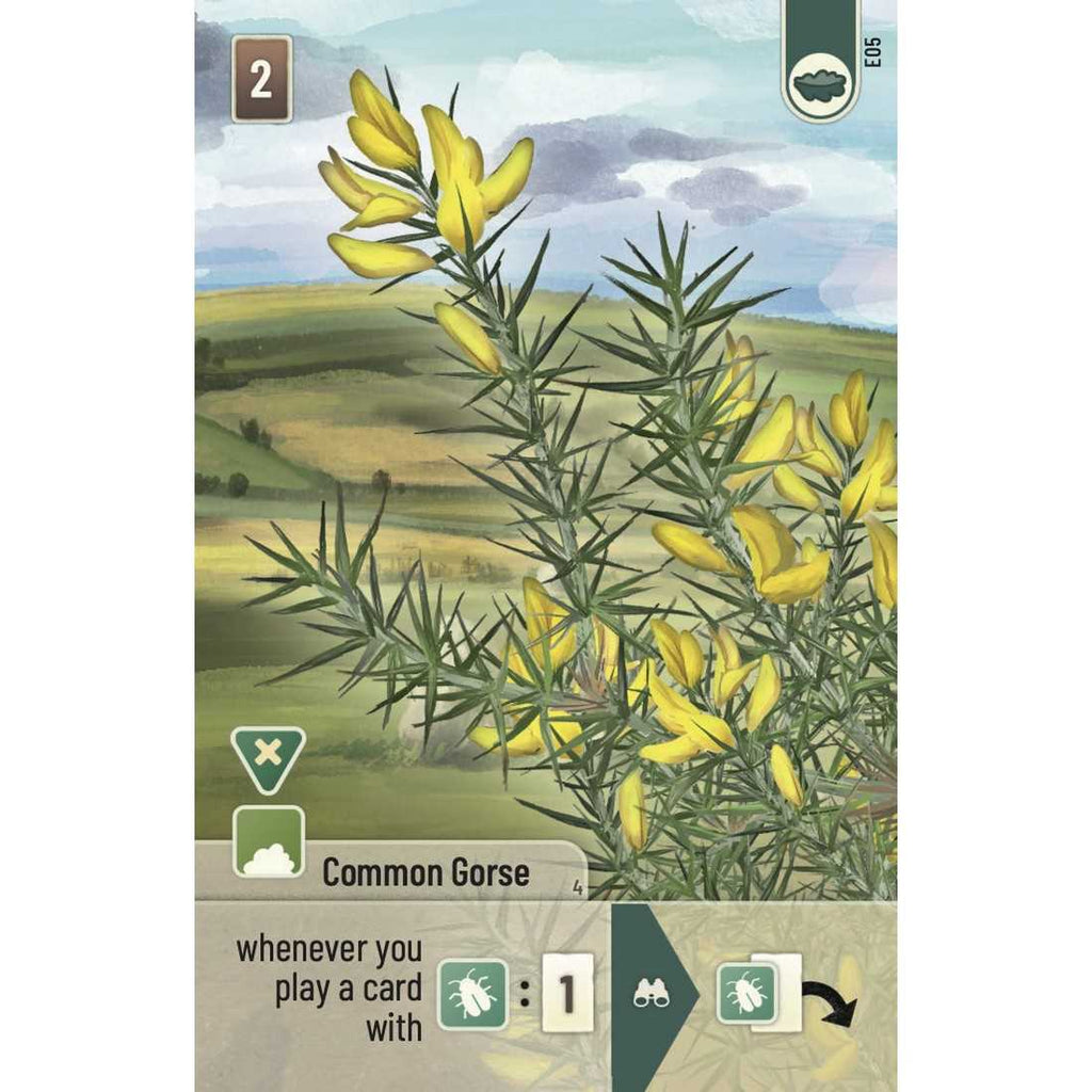 Forest Shuffle - Dartmoor: Exmoor Expansion
