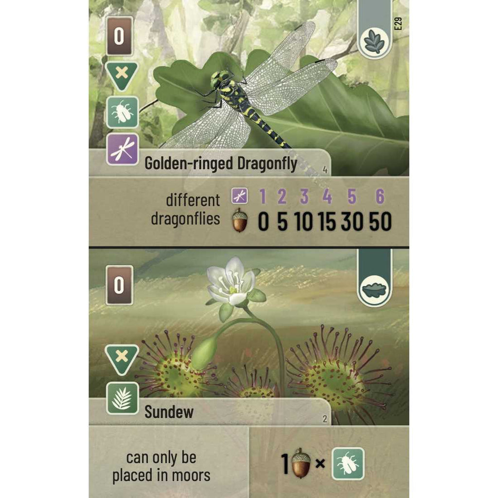 Forest Shuffle - Dartmoor: Exmoor Expansion