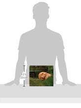 Load image into Gallery viewer, Landscape Body Dwelling (Dumbarton Oaks Contemporary Landscape Design) - Celador Books &amp; Gifts
