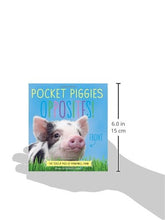 Load image into Gallery viewer, Pocket Piggies: Opposites! - Celador Books &amp; Gifts
