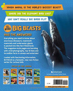 In Focus: Big Beasts - Celador Books & Gifts