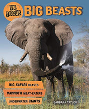 Load image into Gallery viewer, In Focus: Big Beasts - Celador Books &amp; Gifts
