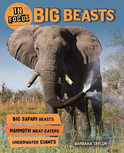 In Focus: Big Beasts - Celador Books & Gifts