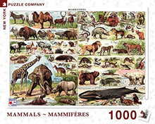 Load image into Gallery viewer, NYPC - Vintage Collection: Mammals - Celador Books &amp; Gifts
