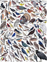 Load image into Gallery viewer, Jigsaw Puzzle - Birds of Eastern/Central North America - Celador Books &amp; Gifts
