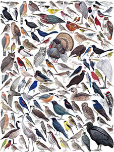 Jigsaw Puzzle - Birds of Eastern/Central North America - Celador Books & Gifts