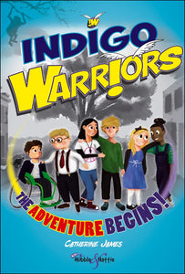 Indigo Warriors: The Adventure Begins! - Celador Books & Gifts