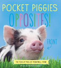 Load image into Gallery viewer, Pocket Piggies: Opposites! - Celador Books &amp; Gifts
