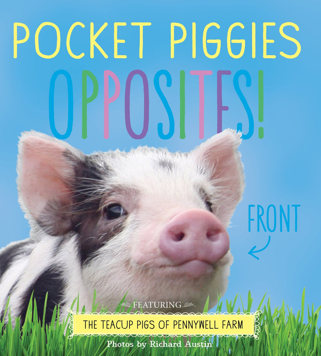 Pocket Piggies: Opposites! - Celador Books & Gifts