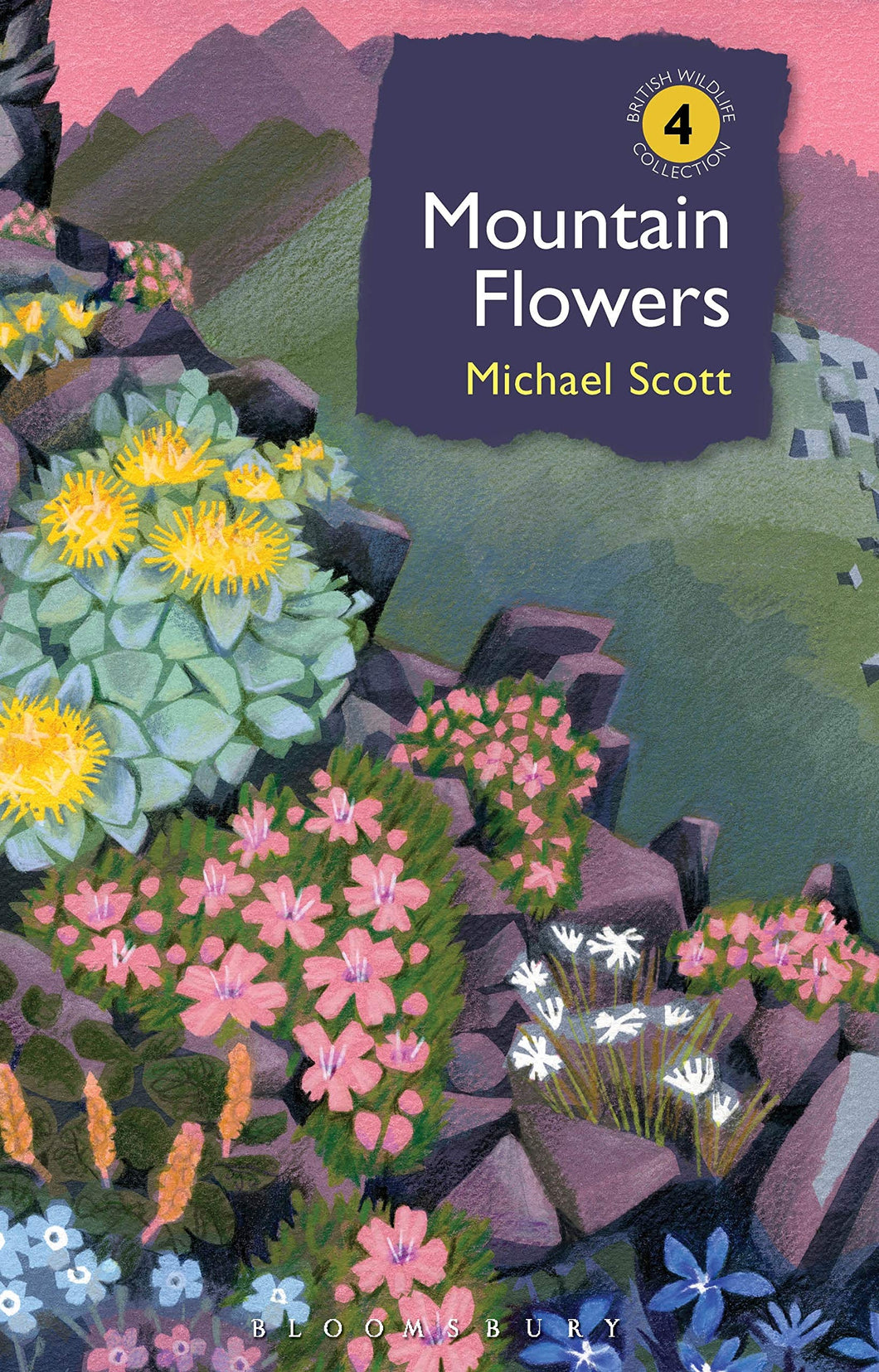 Mountain Flowers (British Wildlife Collection) - Celador Books & Gifts