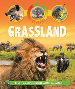 Life Cycles: Grassland - Celador Books & Gifts